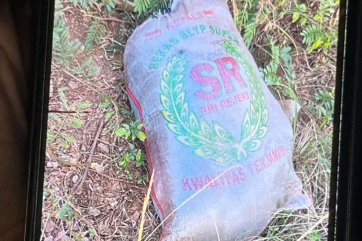 Polisi Tangkap Pelaku Pembuang Mayat dalam Karung di Depok